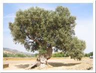 agrigento_05.html