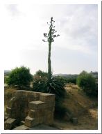 agrigento_14.html