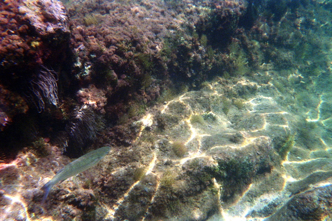 aquario_01.jpg