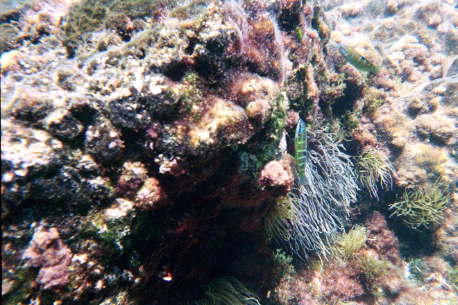 aquario_02.jpg
