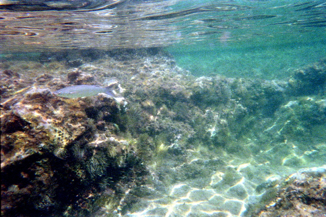 aquario_03.jpg