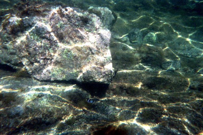 aquario_04.jpg