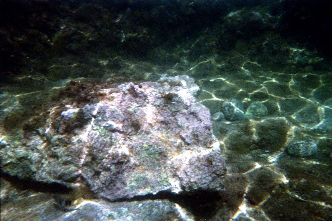 aquario_05.jpg