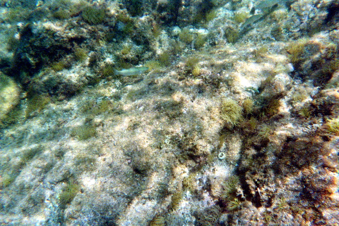 aquario_09.jpg
