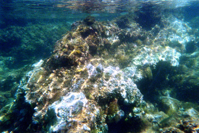 aquario_12.jpg