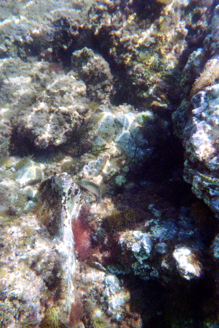 aquario_13.jpg