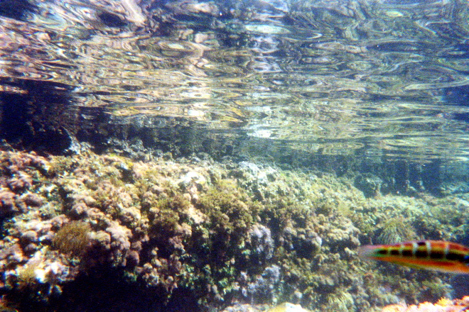 aquario_15.jpg