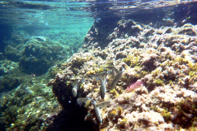 aquario_16.jpg