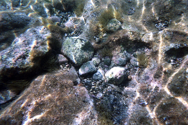 aquario_19.jpg