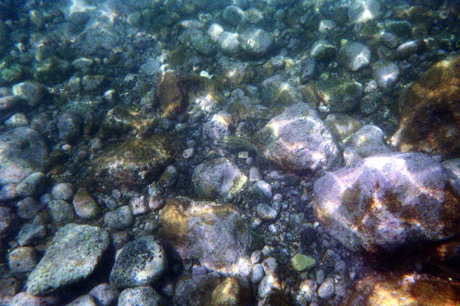aquario_21.jpg