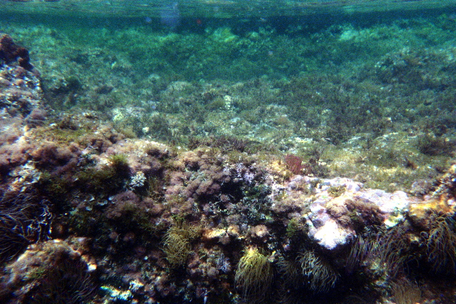 aquario_23.jpg