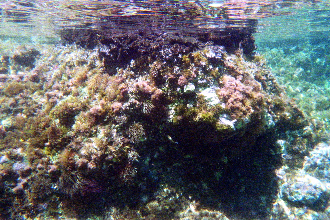 aquario_24.jpg