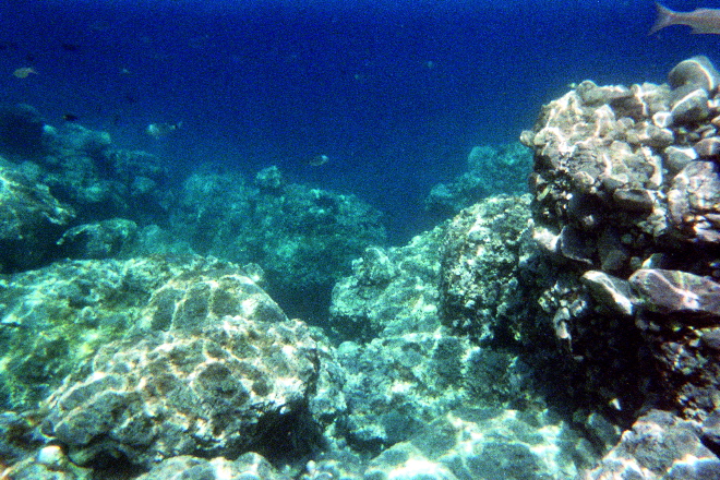 aquario_25.jpg