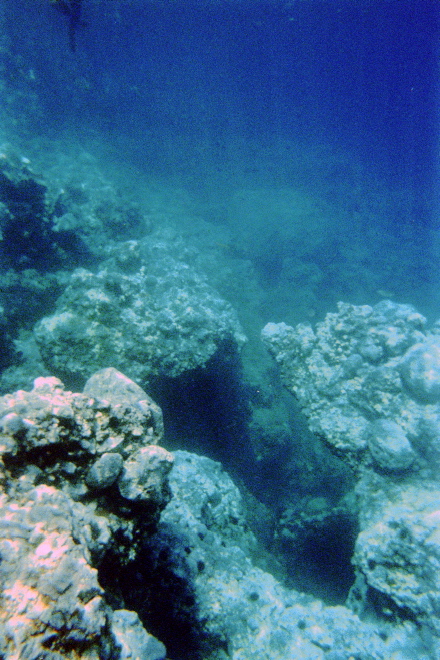 aquario_26.jpg