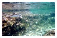 aquario_03.html