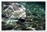 aquario_04.html