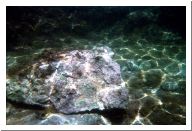 aquario_05.html