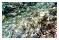 aquario_09.html