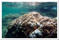 aquario_10.html