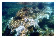 aquario_12.html