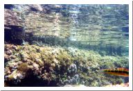 aquario_15.html