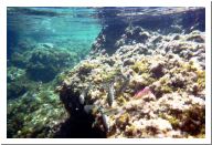 aquario_16.html