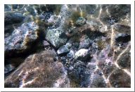 aquario_19.html