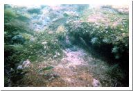 aquario_20.html