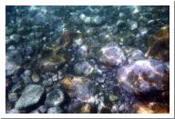 aquario_21.html