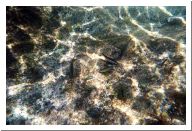 aquario_22.html