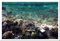 aquario_23.html