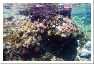 aquario_24.html