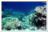 aquario_25.html