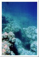 aquario_26.html