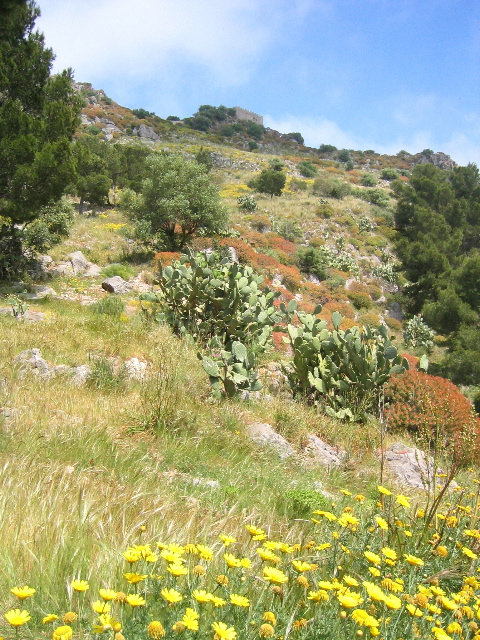 cefalu_03.jpg