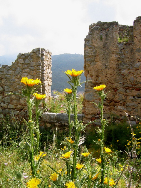cefalu_04.jpg