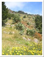 cefalu_03.html