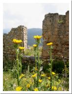 cefalu_04.html