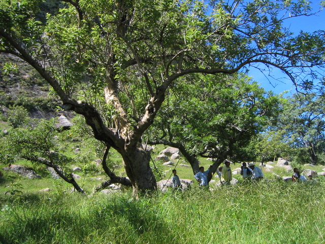 chalcatzingo_21.jpg