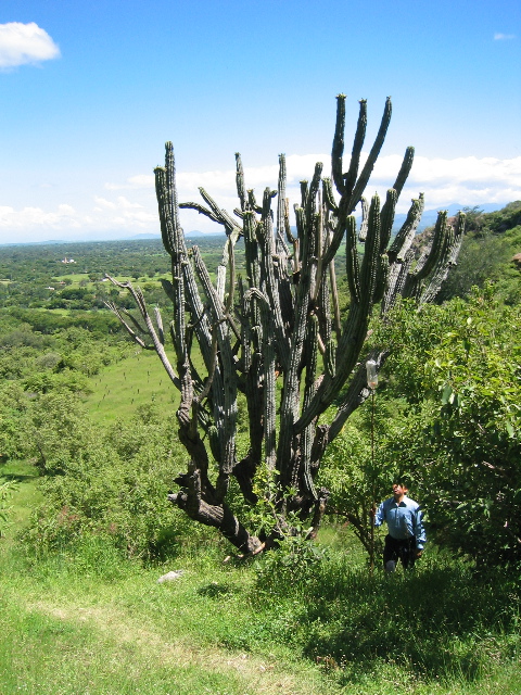 chalcatzingo_22.jpg
