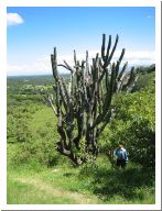 chalcatzingo_22.html