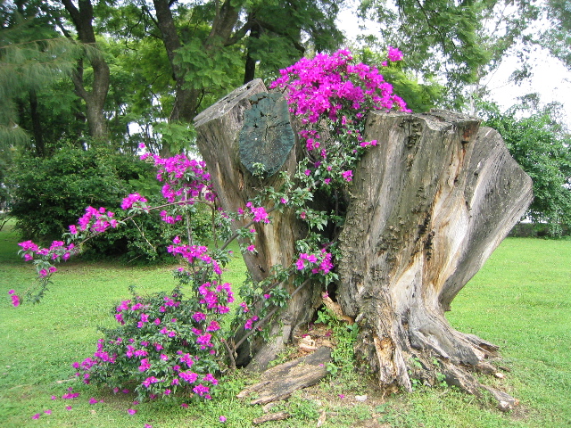 cuernavaca_13.jpg
