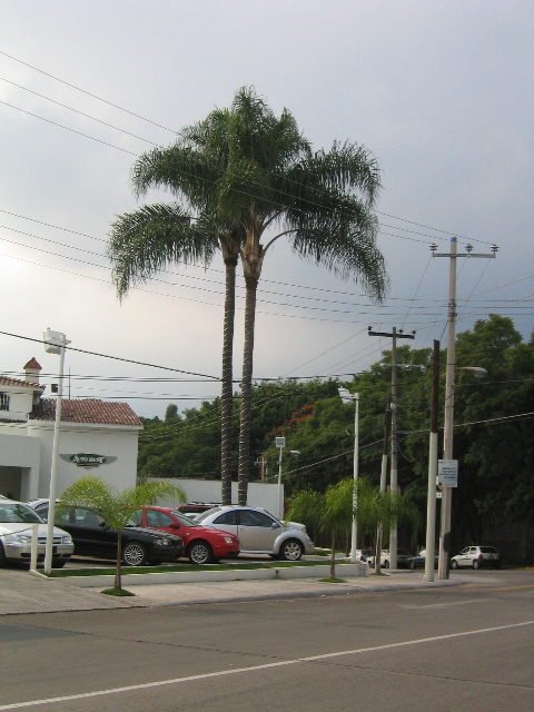 cuernavaca_19.jpg