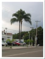 cuernavaca_19.html