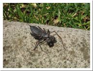 cuernavaca_30.html