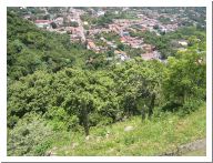 malinalco_23.html