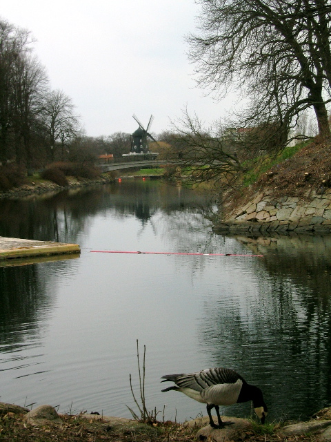 malmoe_12.jpg