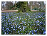 malmoe_09.html