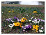 malmoe_10.html