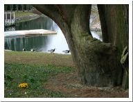 malmoe_11.html